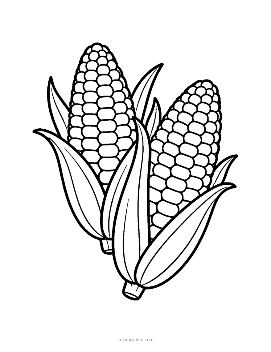 Black-and-white coloring page: Corn Pair