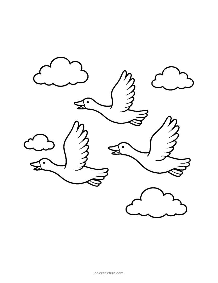 Black-and-white coloring page: Geese Flying