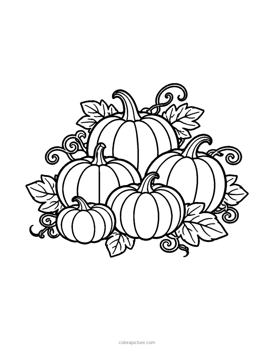 Black-and-white coloring page: Harvest Pumpkins