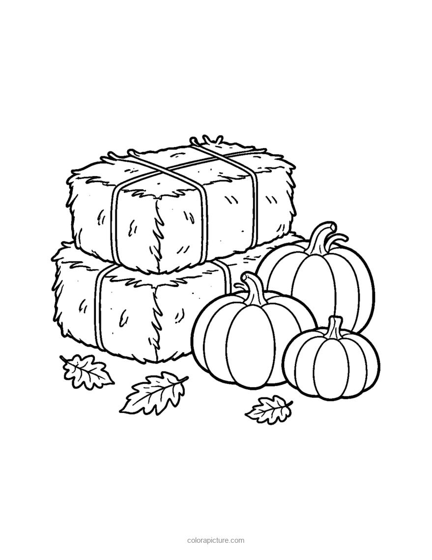 Black-and-white coloring page: Hay Bales and Pumpkins