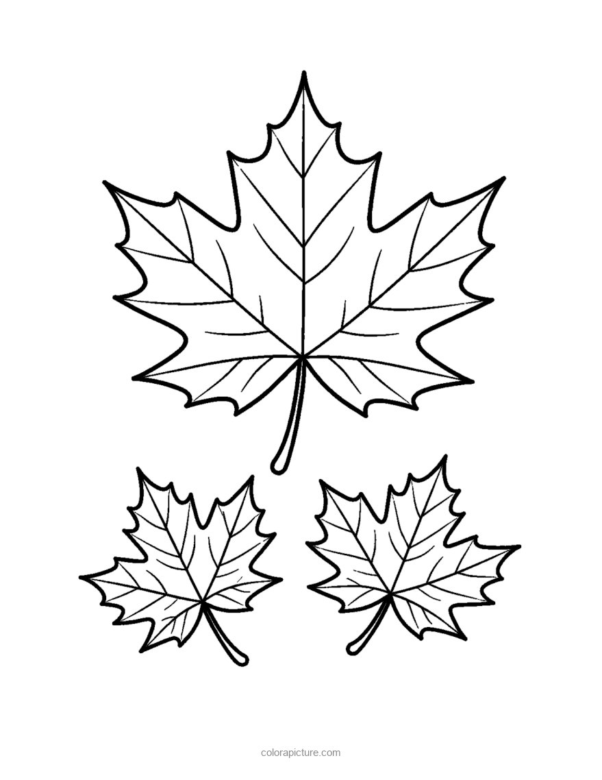Black-and-white coloring page: Maple Leaf Big