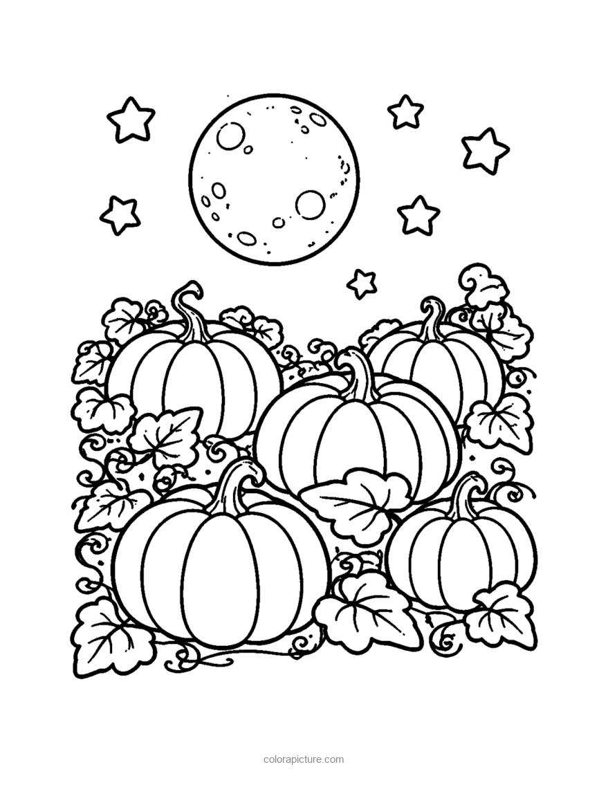 Black-and-white coloring page: Pumpkin Patch at Night