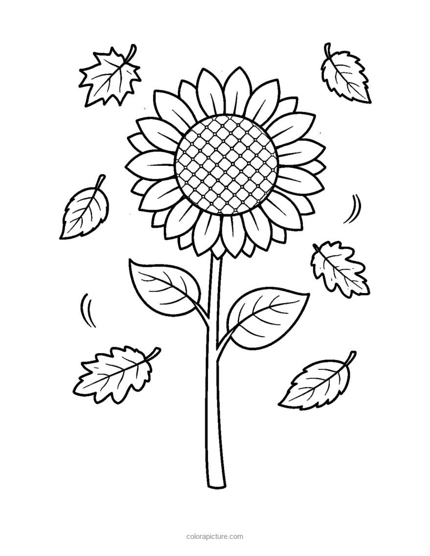 Black-and-white coloring page: Sunflower and Falling Leaves
